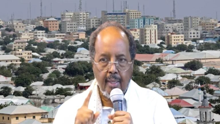 President Hassan Sheikh. says “Foreigners against our progress spread pro-US messages,”