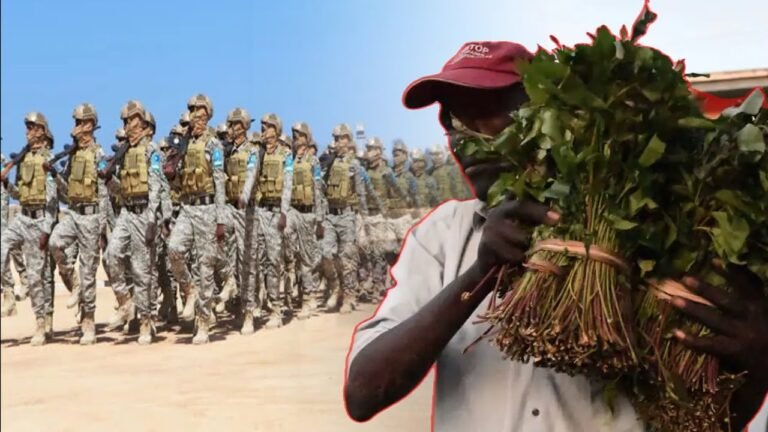 Kenya oo shaaca ka qaadday xaddiga qaadka ee maalin walba Soomaaliya loo dhoofiyo