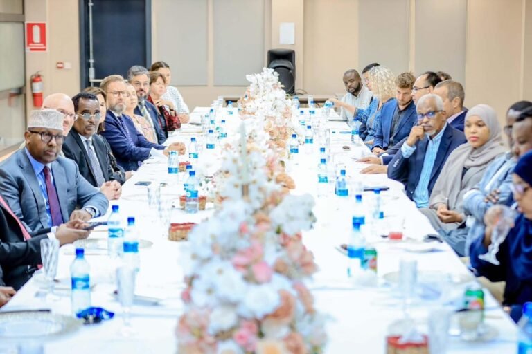Somali FM Calls for Enhanced Partnerships for Progress.
