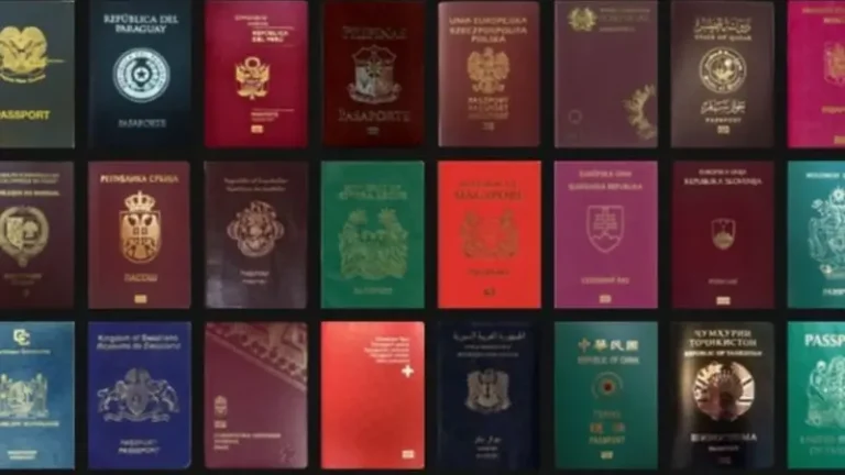 Maamulka Puntland oo Soo Bandhigay Baasaboorrada Ajaaniibka ah ee laga Helay Goobaha Laga Saaray ISIS