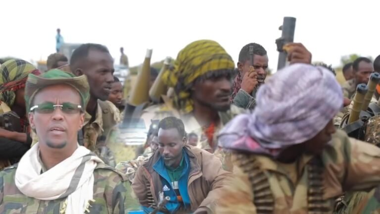 {DAAWO MUQAALKA} Madaxweyne Cali Guudlaawe oo farumaha Dagaalka kula hadlay ciidamda dowlada iyo Macaawisley