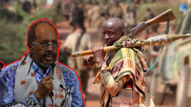 {DAAWO MUQAALKA}  Madaxweyne Xasan Shiikh muxuu ka yiri Ciidamada Macwisleeyda iyo Kuwa Xooga?