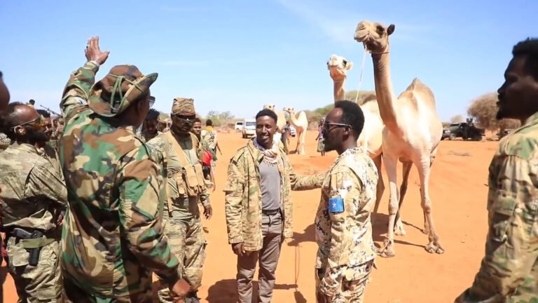 {DAAWO MUQAALKA} Madaxweyne Yuusuf Dabageed oo Dhiirrigeliyay Ciidamada NISA ee ku sugan Furimaha Dagaalka