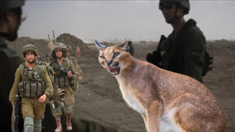 {DAAWO MUQAALKA} Maxay Tahay Bisad Duureeda Hadal Haynta Badan Dhalisay?