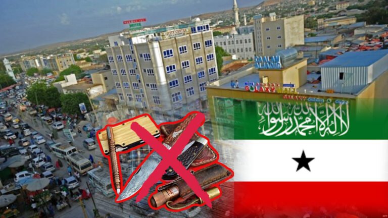 {DAAWO MUQAALKA} Maxay tahay Sababta Somaliland ugu Mamnuucday Hubka Fudud Magaalada Hargeysa.?