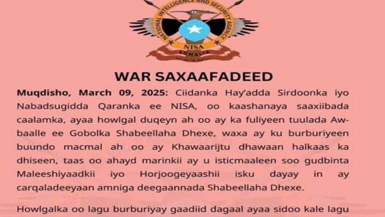 NISA, with international partners, destroys bridge used by AS.