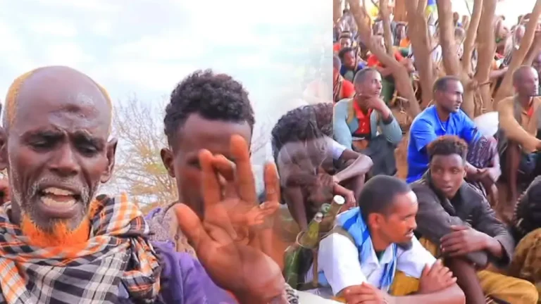 {DAAWO MUQAALKA} Nabadoon ka Tirsan Ciidanka Deeganka ka Hadlay Arin aay AS Sameeyeen