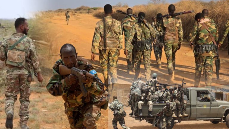 {DAAWO MUQAALKA} Wararkii ugu Dambeeyay Howlgalo Culus oo ka Socda Sh-dhaxe