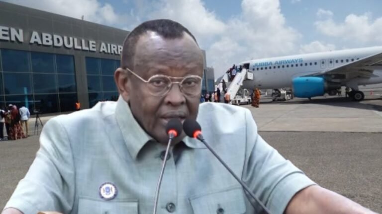 {DAAWO MUQAALKA} Wasiir Bashiir”Xildhibaano aan Garoonka imaan ayaa dhahay Safar ayaa Nalaga Joojiyay.