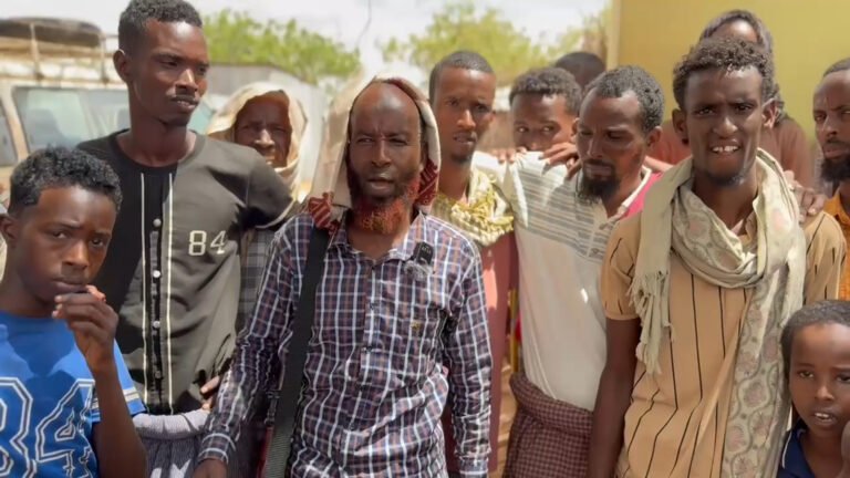 {DAAWO MUQAALKA}  Waxaan qoraxda u taaganahay soo dhaweynta Madaxweyne Xasan Sheekh”Shacabka Moqokori”