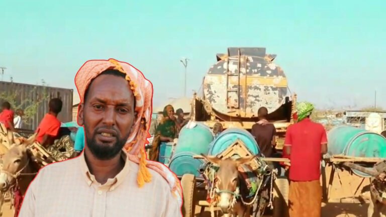 {DAAWO MUQAALKA} Xoolo badan ayaa dhintay Waxaana hada halis ku jira nolasha dadka”Gudoomiyaha D-Farlibaax”