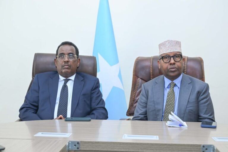 Somali FM, Interior Minister Discuss New Civil Registry Service.
