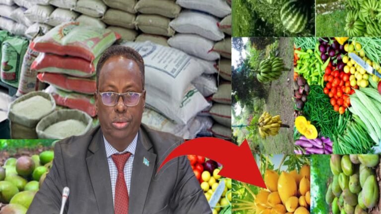 {DAAWO MUQAALKA} “Dadka Soomaaliyeed qof walba meeshii uu cunto ka heli karo haka ag dhawaado”.Wasiir Maareeye.