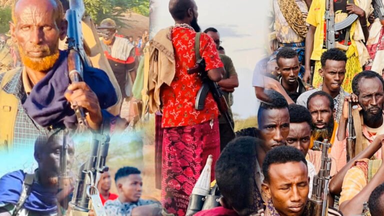 {DAAWO MUQAALKA} Maxaa ka taqanaa ciidamada Macawiisleeyda ee Dagaalka kula Jira AS.?