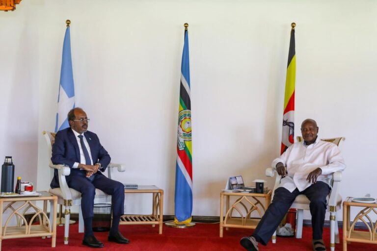 {DAAWO SAWIRADA} Madaxweynaha Soomaaliya oo la kulmay Madaxwaynaha Ugaadha.