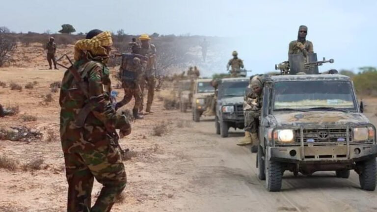 Somali army kills 21 AS militants in Lower Shabelle region
