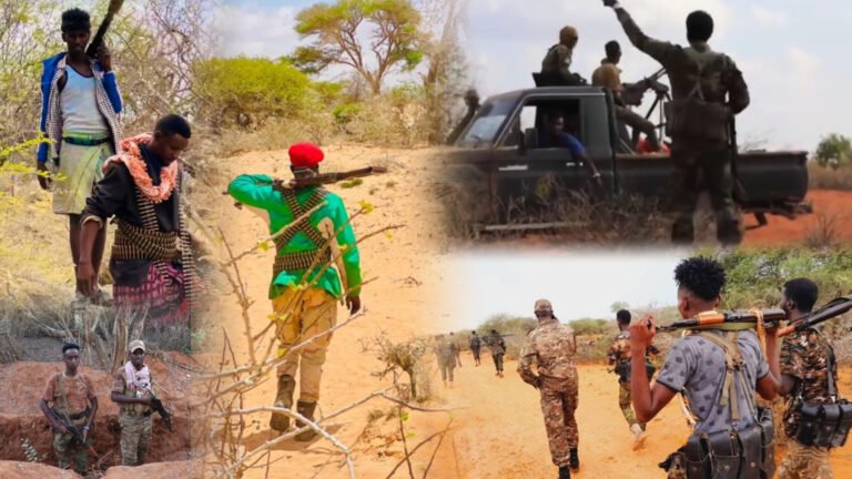 {DAAWO MUQAALKA} Ciidanka Deegaanka oo Howlgal lagu dilay xubno ka tirsan AS ka fuliyay SH-Dhaxe.