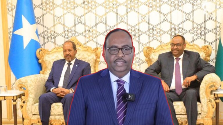 {DAAWO MUQAALKA} DFS oo xaqiijisay in madaxweyne Deni uu ka qeyb galayo shirka Wadatashiga.