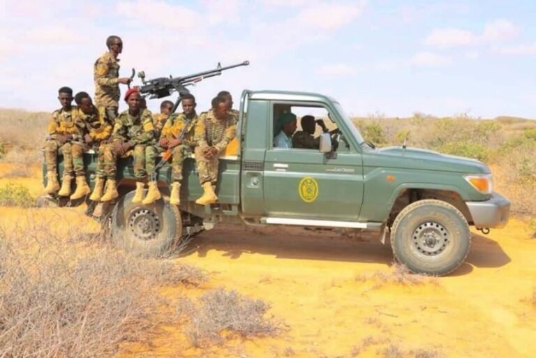 Somali Danab commandos kill 37 AS militants in Lower Jubba region