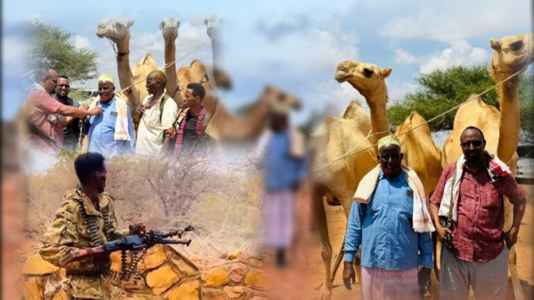 {DAAWO MUQAALKA} Deeq loogu talagalay ciidamada Macwisleyda oo la gaarsiiyey deegaanka Hareeri-Madoobe.