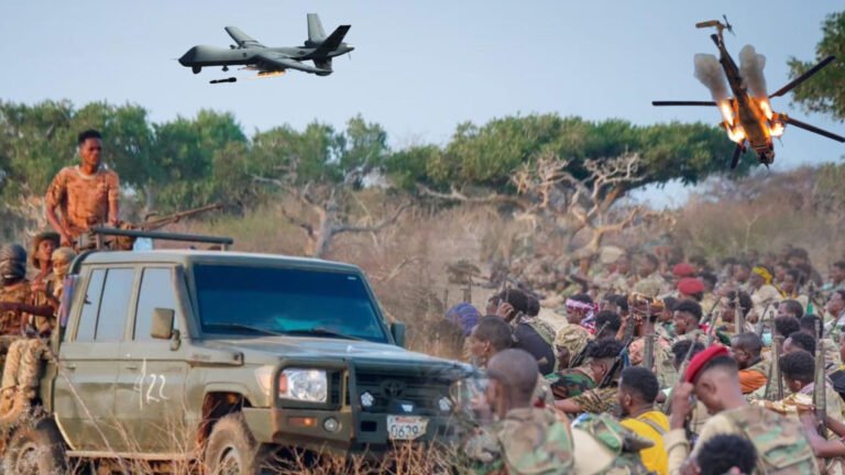 12 xubnood oo ka tirsan Kooxda AS oo lagu dilay gobolka Shabeellaha Hoose.