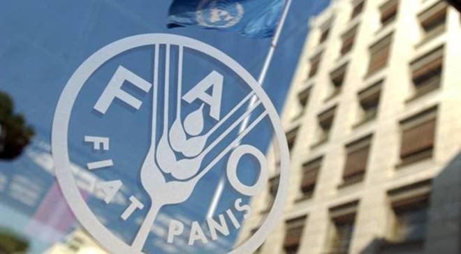 Hay’adda FAO  oo sheegtay in malaayiin qof oo soomaali ah wajahayaan cunto la’aan