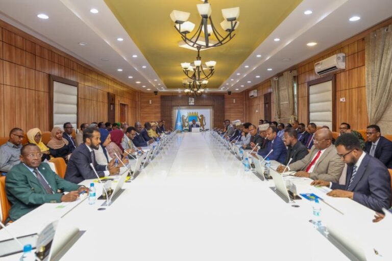 Golaha Wasiirada Soomaaliya oo Ansixiyay Guddiga Tacliinta Sare ee Qaranka,