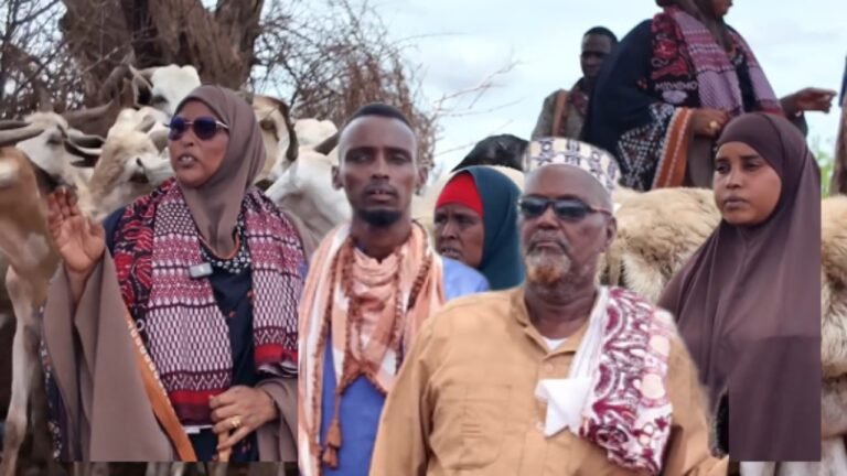 {DAAWO MUQAALKA} Haween Canada ku nool Oo Taageero gaarsiiysay Ciidamaada Aboorey .