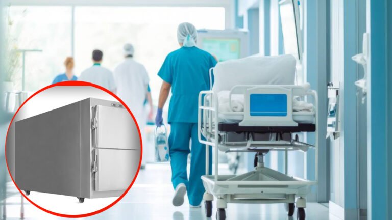 {DAAWO MUQAALKA} Lacag intee la’eg ayaa ku baxdo Habeenkii Qaboojiyaha Meeydka Lagu haayo ee Soomaaliya?