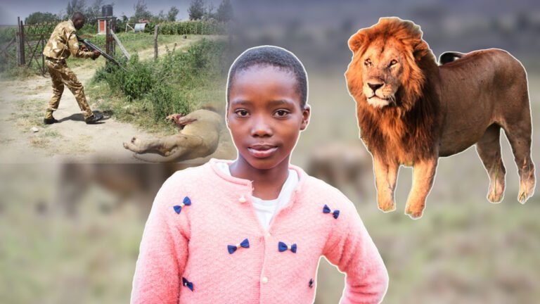 {DAAWO MUQAALKA} Libaax gabar 14 jir ah ku dilay magaalada Nairobi.