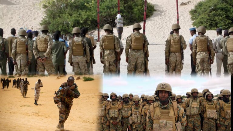 {DAAWO MUQAALKA} Maxaad ka taqaanaa Dalalka askartooda dil toogasho ah ku xukumay fuleynimo awgeed.