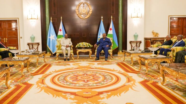 Somali, Djiboutian Presidents discuss security and economic cooperation