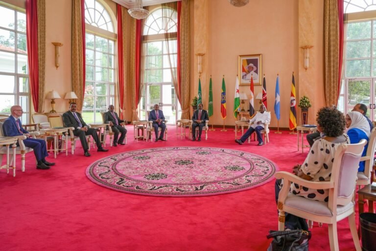 Si loo joogteeyo dadaallada nabadeed ee Soomaaliya waa in La helaa taageero deg deg ah.