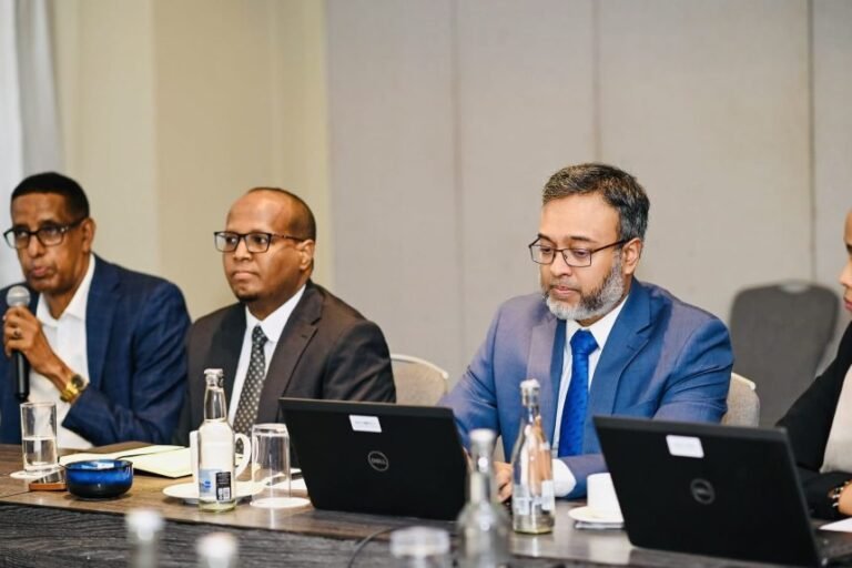 Somalia Holds Consultative Meeting on Submarine Cable Landing Regulation
