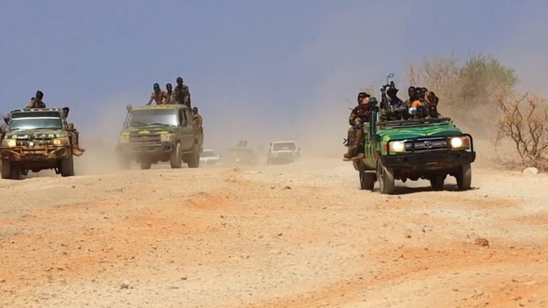 Somali forces destroy al-Shabab hideouts in Middle Shabelle region