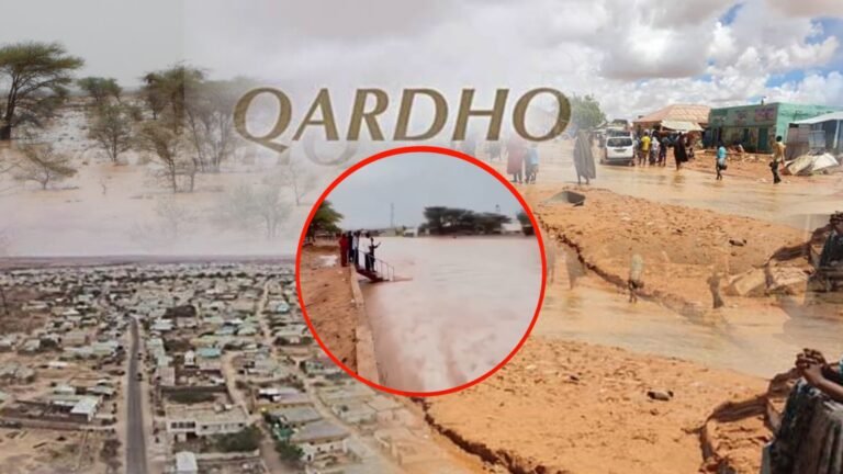 {DAAWO MUQAALKA} Sidee Magaalada Qardho Looga Badbaadiyay Daadadka Roobka?