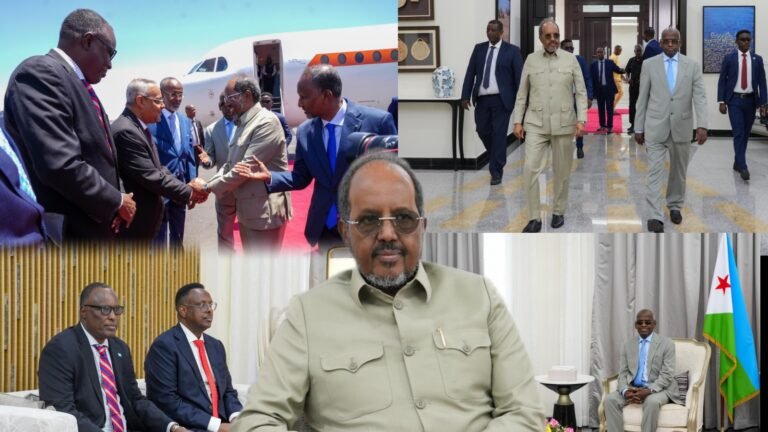 {DAAWO MUQAALKA}  Madaxweynaha Soomaaliya oo Gaaray Jabuuti