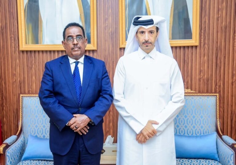 Minister of Interior meets Ambassador of Qatar to Somalia.