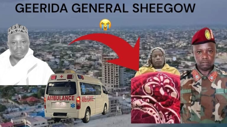 Dowladda Soomaaliya oo war ka soo saartay geerida Jeneral Sheegow.