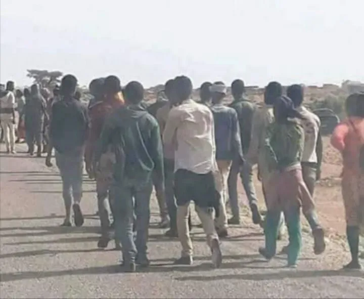 Muhaajiriin horay go,aano looga soo saaray oo kusii qul qulaya deegaanada Puntland.