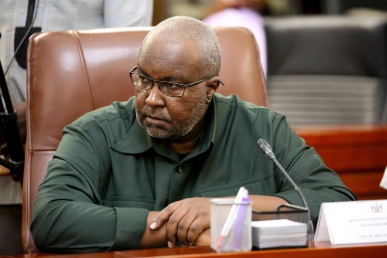 Wasiirkii Beeraha ee dalka Namibia oo Shaqadii laga Eryay + Sababta