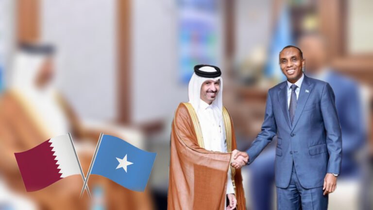 Somali PM meets Qatari Ambassador to boost bilateral cooperation and development support