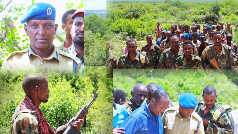 {DAAWO MUUQAALKA}  Xoolo iyo Lacag oo la Gaarsiiyay Ciidamada KGS.