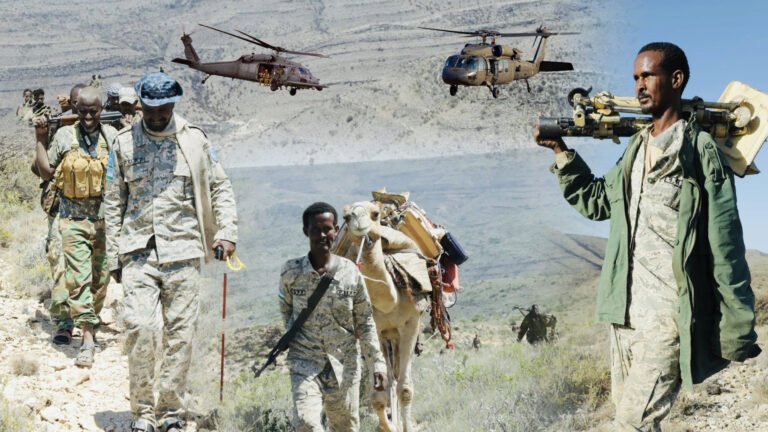 {DAAWO MUUQAALKA} FAAH FAAHIN Duqeeymo Culus oo laga Fuliyey Puntland.