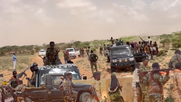 Top al-Shabaab leader among 45 terrorists killed in military operations in Somalia.