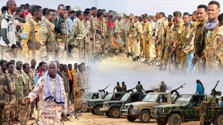 {DAAWO MUQAALKA} Madaxweyne Cali guudlaawe oo gaaray farumaha dagaalka