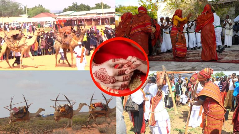 {DAAWO MUQAALKA} Deegaan Soomaaliyeed oo jaangooyey kharashka ku baxa Aroosyada