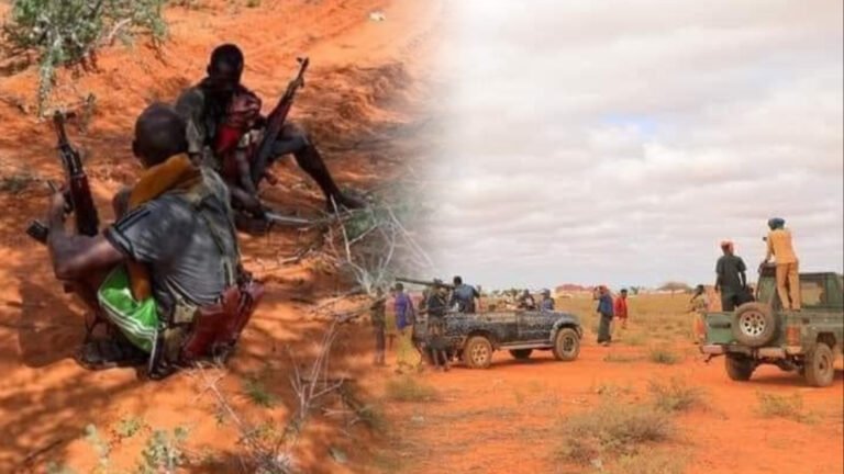 {DAAWO MUUQAALKA} FAAH FAAHIN-Dad isku qoys ah oo lagu dilay sh/dhaxe.