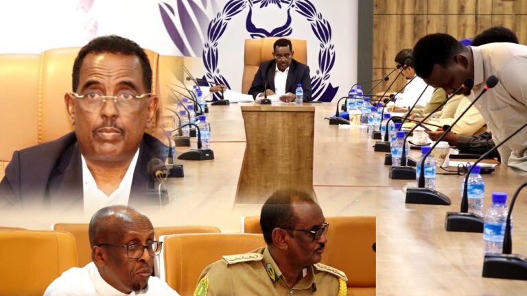 {DAAWO MUUQAALKA} Gudiga qaban qaabada maal maha xuriyada oo kulan koodii ugu horeeya yesshay .