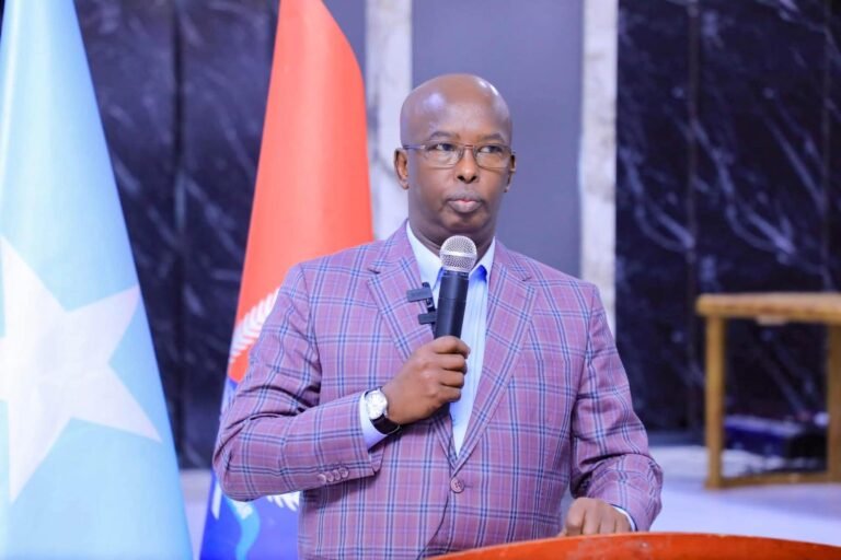 Gudoomiye Amiir oo amaro culus dul dhigay shirkadihii dhisay wadooyin burburay